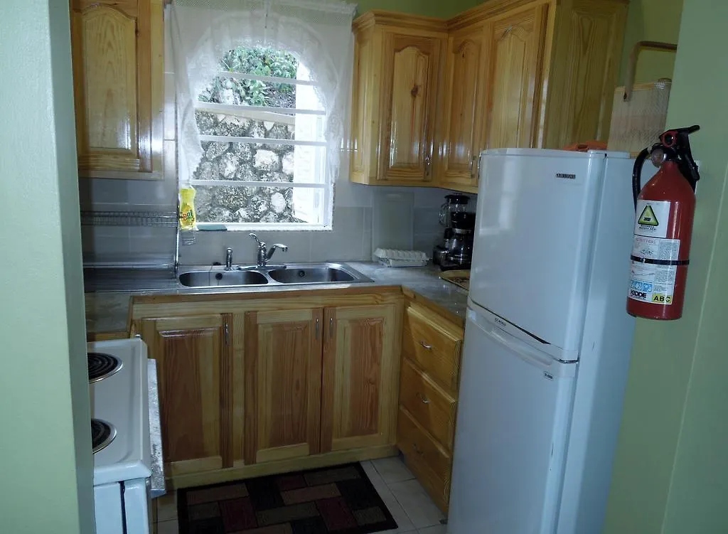 Columbus Heights Lejlighed Ocho Rios